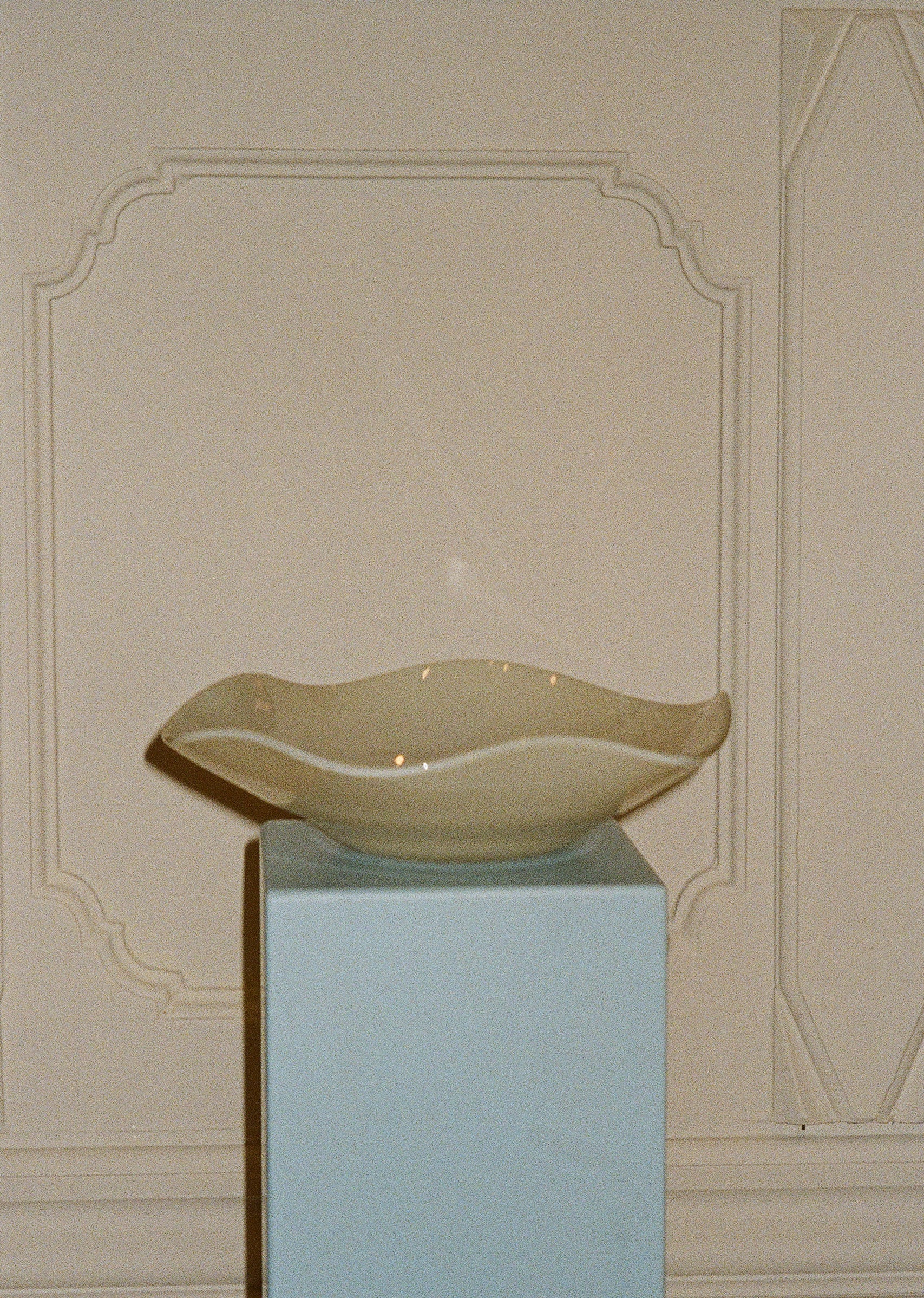 The Deep Plate